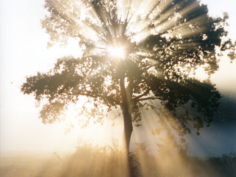 Finding Balance: How Ancient Wisdom Transformed My Life and Business