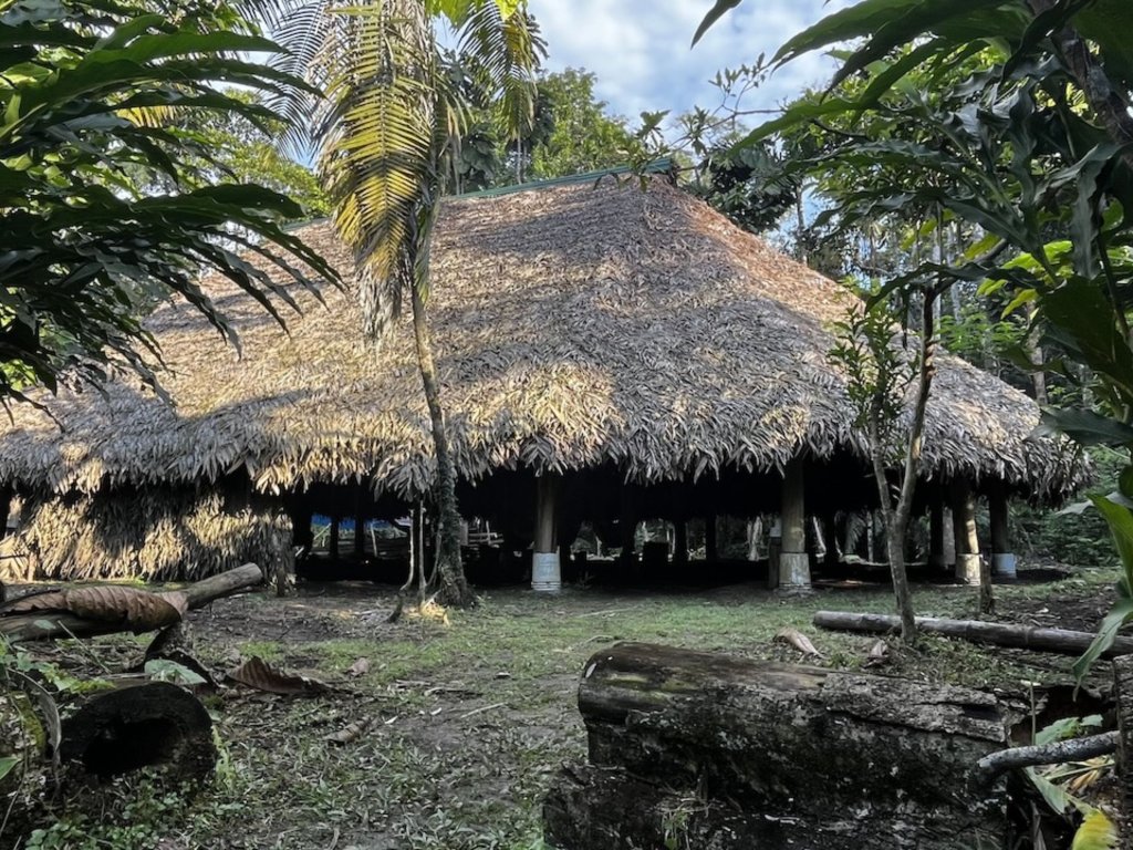 Lessons from the Ecuadorian Amazon Jungle