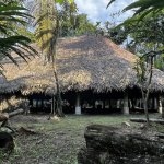 Lessons from the Ecuadorian Amazon Jungle